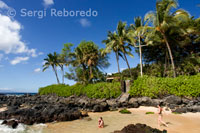 Playa de Secret Cove. Maui.